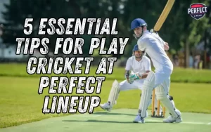 play cricket